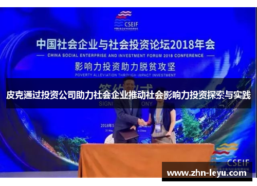 皮克通过投资公司助力社会企业推动社会影响力投资探索与实践