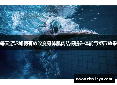 每天游泳如何有效改变身体肌肉结构提升体能与塑形效果