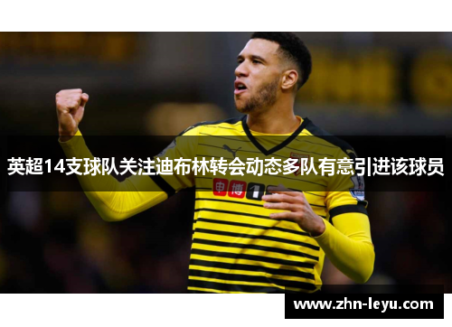 英超14支球队关注迪布林转会动态多队有意引进该球员 英超14支球队关注迪布林转会动态多队有意引进该球员