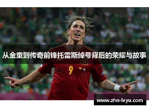 从金童到传奇前锋托雷斯绰号背后的荣耀与故事