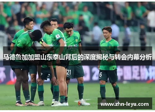 马德鲁加加盟山东泰山背后的深度揭秘与转会内幕分析 马德鲁加加盟山东泰山背后的深度揭秘与转会内幕分析