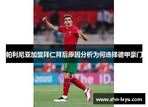 帕利尼亚加盟拜仁背后原因分析为何选择德甲豪门