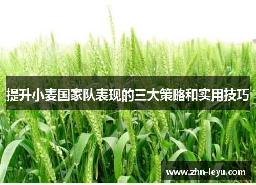 提升小麦国家队表现的三大策略和实用技巧