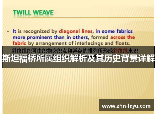 斯坦福桥所属组织解析及其历史背景详解