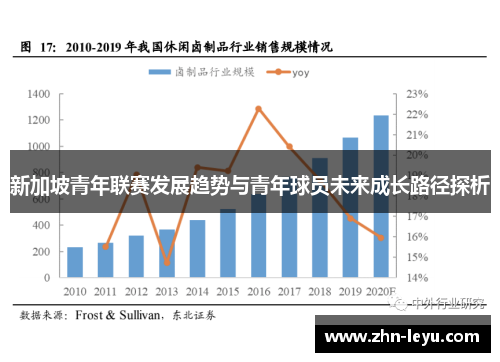 新加坡青年联赛发展趋势与青年球员未来成长路径探析