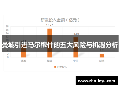 曼城引进马尔穆什的五大风险与机遇分析 曼城引进马尔穆什的五大风险与机遇分析